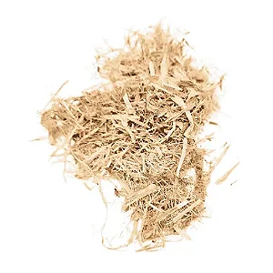 Algodoeiro (Gossypium herbaceum) Pacote 100g