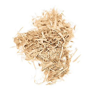 Algodoeiro (Gossypium herbaceum) Kg
