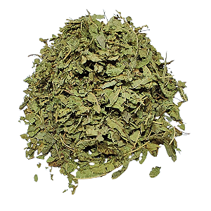 Verbena Pacote (Verbena Triphylla) 500g