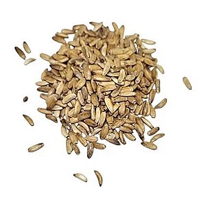 Cardo Mariano Em Semente Pacote 200g