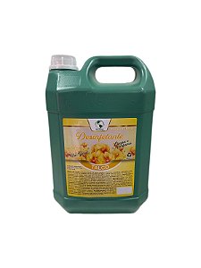 Desinfetante Talco 5L Tervilimp