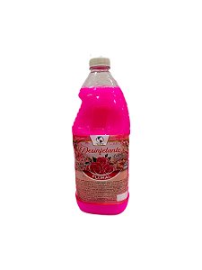 Desinfetante Floral 2L Tervilimp