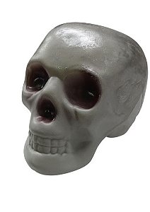 Cranio 18x13cm Halloween - YDH