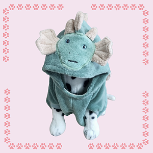 Kigurumi Pet - Dragão