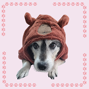 Kigurumi Pet - Capivara