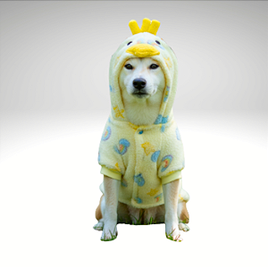 Kigurumi Pet - Pintinho
