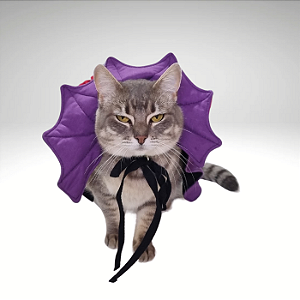 Kigurumi Pet - Capa Vampiro Roxa