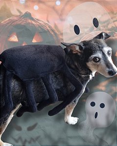 Fantasia Pet - Aranha