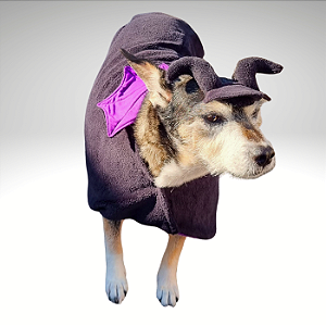 Fantasia Capa Pet - Malévola