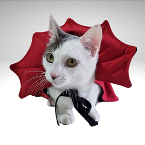 Fantasia Pet - Capa Vampiro Vermelha