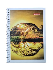 CADERNO 1/4 ESPIRAL CAPA SIMPLES XADREZ 96FLS