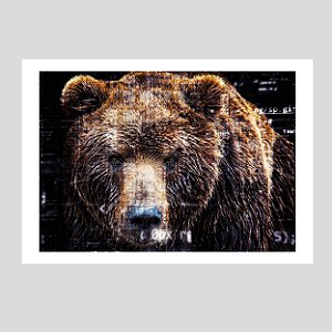 Arquétipo do Urso: Determinado