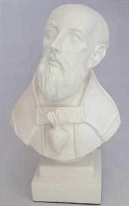 Santo Agostinho de Hipona Busto em Resina