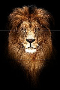 Azulejo Personalizado - 40x60 Sublimação