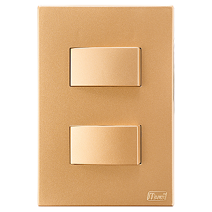 Conjunto Interruptor Duplo Paralelo Recta Ouro Nobre Fosco Blux