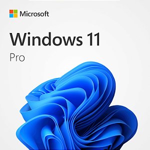 LICENCA ESD WINDOWS 11 HOME 32/64 DOWNLOAD