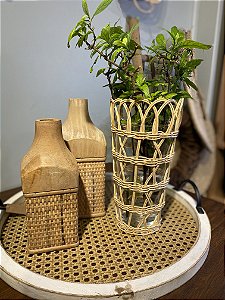 Vaso natural
