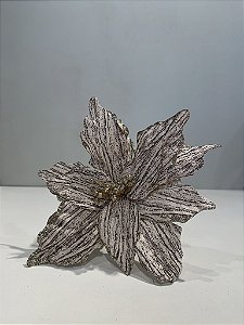 Poinsetia champanhe pintada