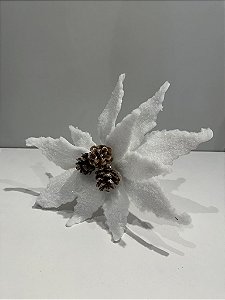 Poinsetia branca