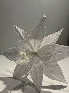 Poinsetia branca 60cm