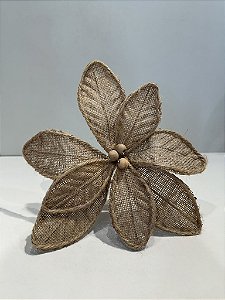 Poinsetia natural