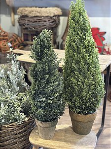 Topiaria no vaso 58cm