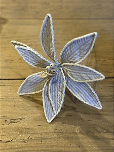 Flor poinsetia nude