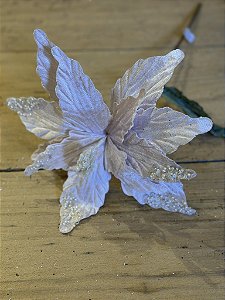 Poinsetia decorativa rose