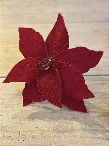 Poinsetia decorativa vermelha