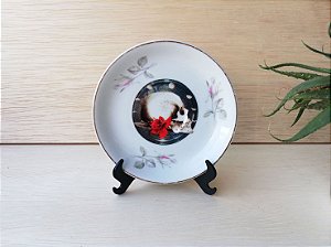 Porcelana antiga ilustrada