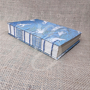 Livro Blue Cloud