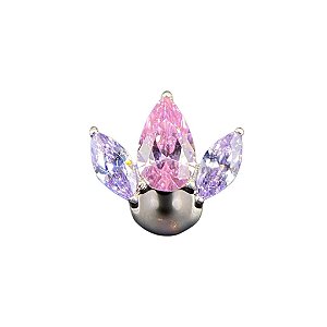Joia Labret Navete Duas Cores | Titânio | Piercing de Orelha