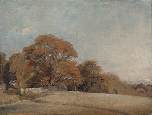 Paisagem outonal