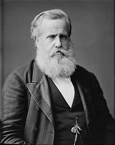 Retrato do Imperador Dom Pedro II