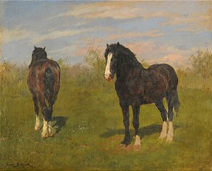 Cavalos no campo II