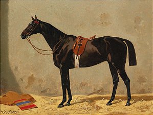 Cavalo preto no estábulo