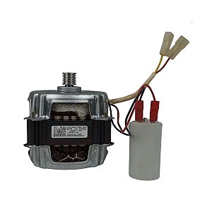 Motor Original Lavadora Mueller Family 1/4 220V