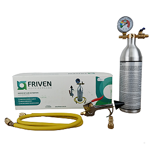 Kit Flush Limpeza 141B Automotivo Garrafa Friven