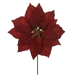 H.Bico Papagaio (Vermelho) 25cm
