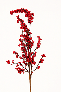 H.Berry Natal (Vermelho) 63CM