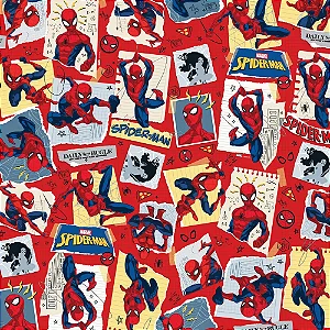 Saco Para Presente Metal Sketch Spider 30X44CM - 50 Unidades