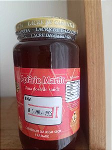 Mel Imunológico 450g
