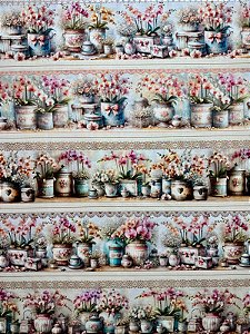 BR241 Barrado Orquídeas no Vaso