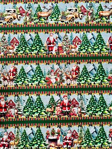 BR273 Barrado Noel na montanha
