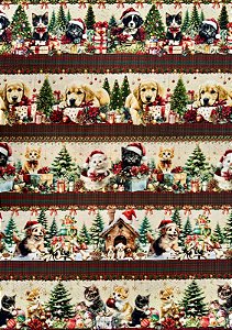 BR294 Barrado pet noel