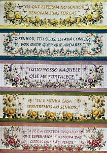 BR314 Barrado Versículos