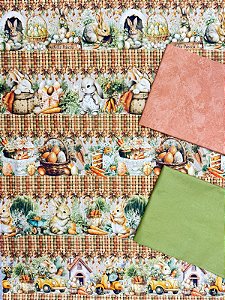 Kit BR382 Barrado Cenourinha