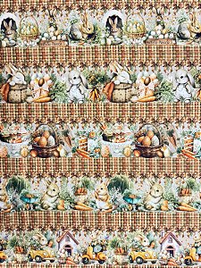 Br382 Barrado Cenourinha