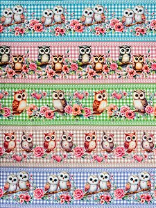 BR419 Barrado Amor das Corujinhas