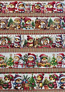 BR428 Barrado Natal Das Capivaras